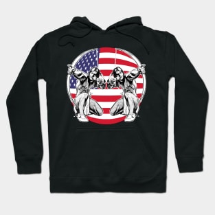 Native American Sioux and the Flag Hoodie